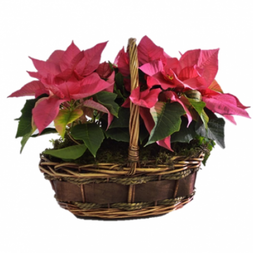 Cesta de pascuas