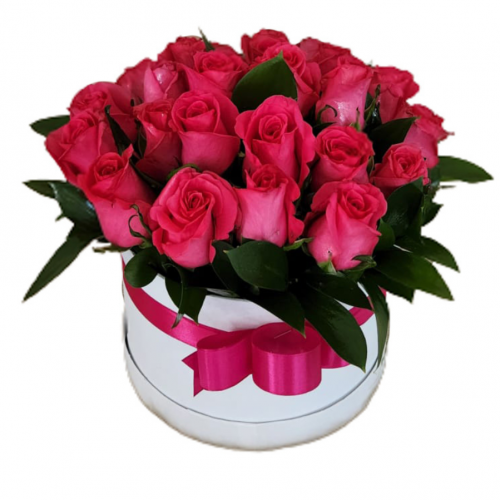 ARREGLO FUCSIA